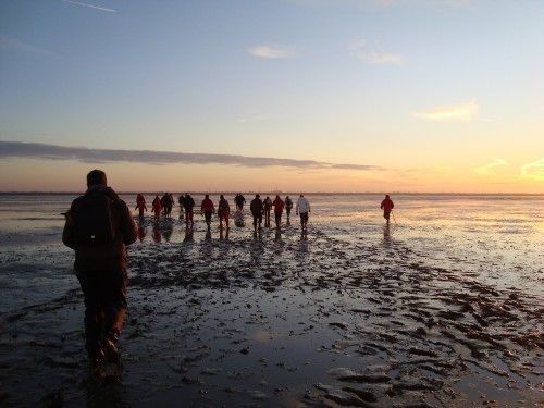 Hotel Waddengenot Pieterburen